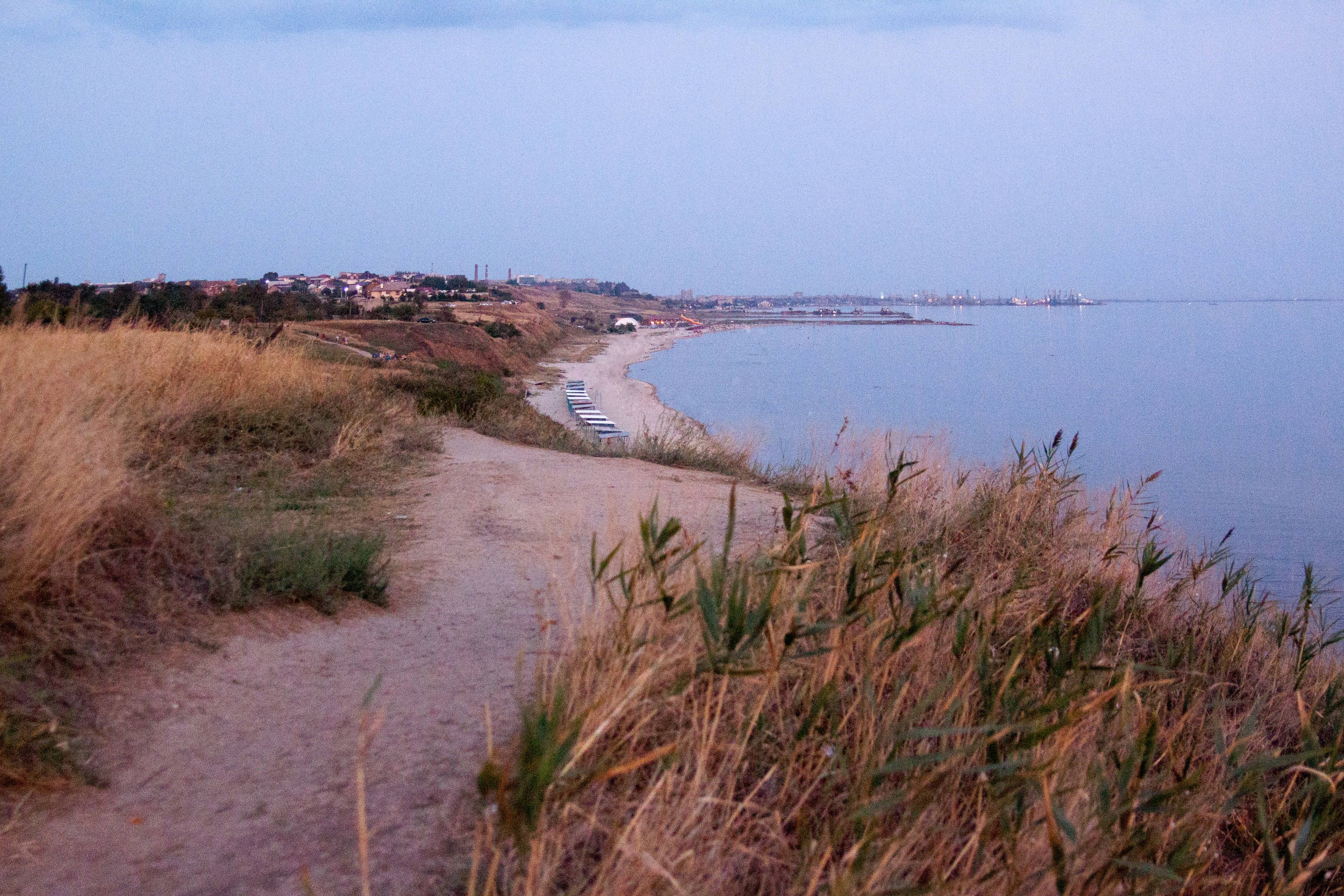 green grass on brown sand near body of water during daytime